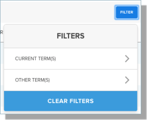 Term filters