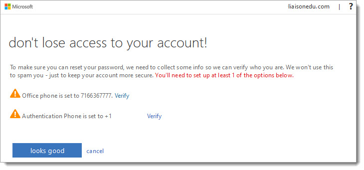 Microsoft account security window