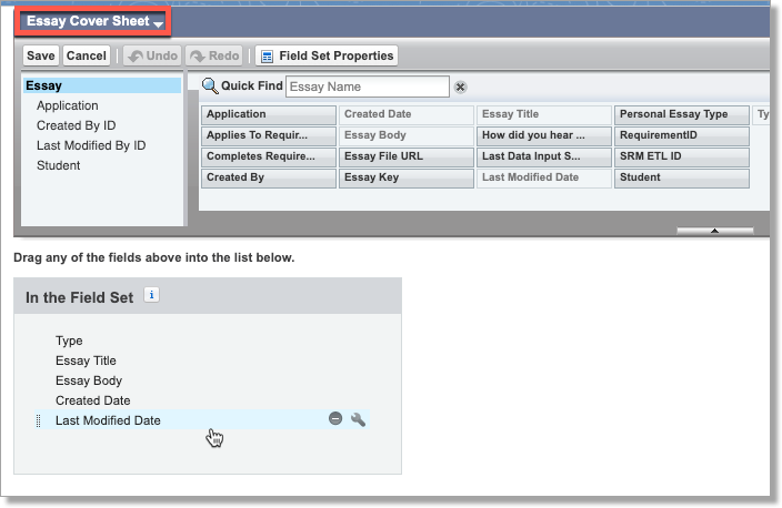 Sample fieldset for Essay section