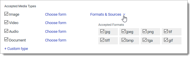 Choosing accepted formats
